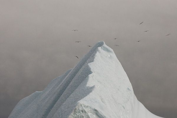 Simon Harsent-iceberg-07