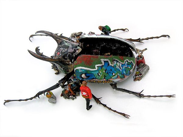 Stuffed Beetles Project Micromachina