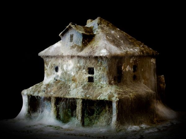 Abandoned Homes Daniele Del Nero