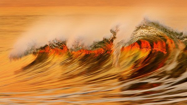 Waves from David Orias