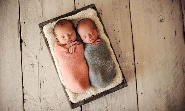 Sweet Sleeping Babies by Tracy Raver