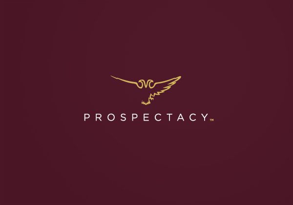 Corporate and Brand Identity for Prospectacy