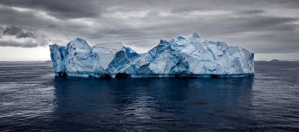 Icebergs Camille Seaman