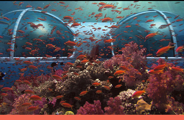Υποβρύχιο Θέρετρο Poseidon στα Φίτζι