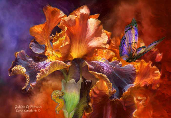 Εκπληκτικά Λουλούδια της Carol Cavalari