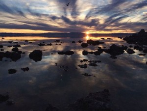 Anoka by Shane Hawk Anoka by Shane Hawk