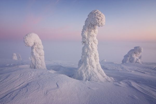 Φωτογραφίες Παγωμένων Δέντρων σε Θερμοκρασία Υπό το Μηδέν