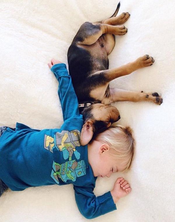 Ο Γλυκός Ύπνος του Παιδιού Μαζί με το Κουτάβι του