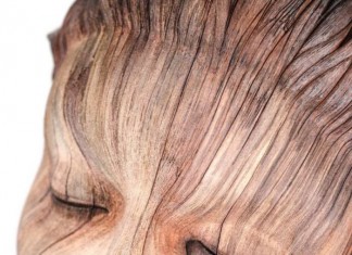 Σουρεαλιστικά Κεραμικά Γλυπτά που Μοιάζουν με Ξύλο Σουρεαλιστικά Κεραμικά Γλυπτά που Μοιάζουν με Ξύλο