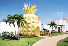 Το Σπίτι του Μπομπ Σφουγγαράκι για τους Φανατικούς Το Σπίτι του Μπομπ Σφουγγαράκι για τους Φανατικούς